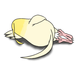 anime cockatiels sticker #2217025