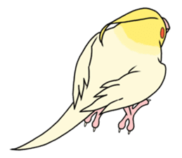 anime cockatiels sticker #2217030