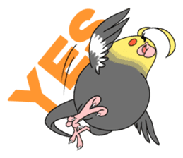 anime cockatiels sticker #2217037