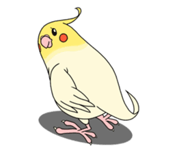anime cockatiels sticker #2217048