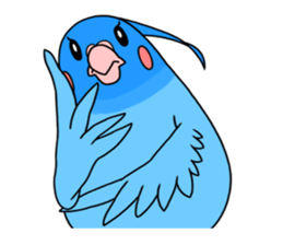 anime cockatiels sticker #2217057