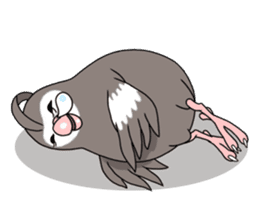 anime cockatiels sticker #2217063