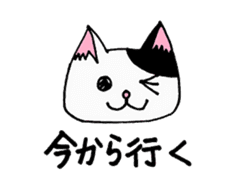 cat from now sticker #2220147