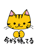 cat from now sticker #2220159