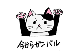 cat from now sticker #2220160