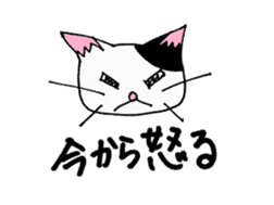 cat from now sticker #2220162