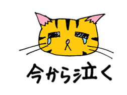 cat from now sticker #2220163