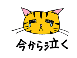 cat from now sticker #2220163
