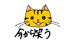cat from now sticker #2220164