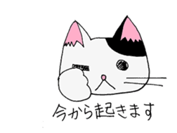 cat from now sticker #2220169