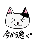 cat from now sticker #2220173