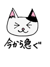 cat from now sticker #2220173