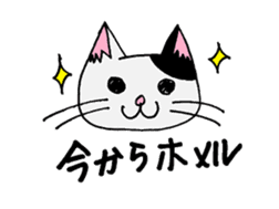 cat from now sticker #2220175