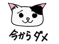 cat from now sticker #2220181