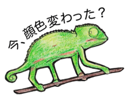 Colorful and joke animals sticker #2221369