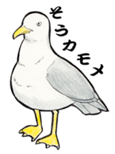 Colorful and joke animals sticker #2221372