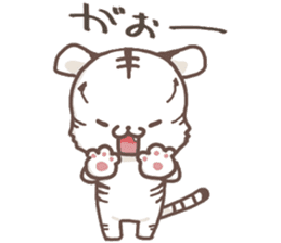 Cute White Tiger - Shiro Tora San - sticker #2226704