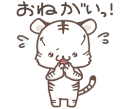 Cute White Tiger - Shiro Tora San - sticker #2226705