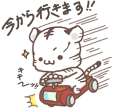 Cute White Tiger - Shiro Tora San - sticker #2226707