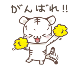 Cute White Tiger - Shiro Tora San - sticker #2226710