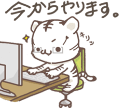 Cute White Tiger - Shiro Tora San - sticker #2226712