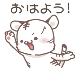 Cute White Tiger - Shiro Tora San - sticker #2226716