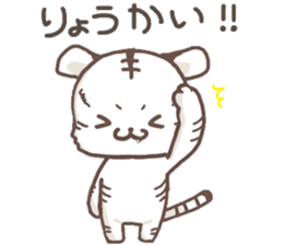 Cute White Tiger - Shiro Tora San - sticker #2226720