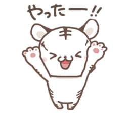Cute White Tiger - Shiro Tora San - sticker #2226723