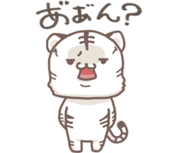 Cute White Tiger - Shiro Tora San - sticker #2226724