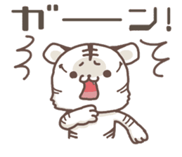 Cute White Tiger - Shiro Tora San - sticker #2226726