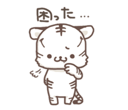 Cute White Tiger - Shiro Tora San - sticker #2226727