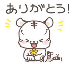 Cute White Tiger - Shiro Tora San - sticker #2226728
