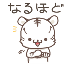 Cute White Tiger - Shiro Tora San - sticker #2226731