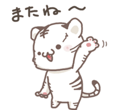 Cute White Tiger - Shiro Tora San - sticker #2226732