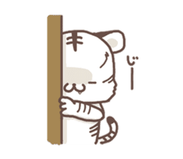 Cute White Tiger - Shiro Tora San - sticker #2226736