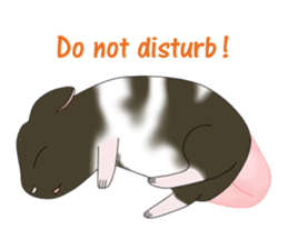 My Pet Mouses - Social Activities ENG sticker #2232971