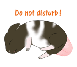My Pet Mouses - Social Activities ENG sticker #2232971