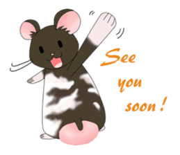 My Pet Mouses - Social Activities ENG sticker #2232983