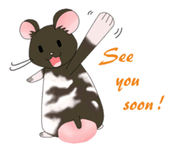 My Pet Mouses - Social Activities ENG sticker #2232983