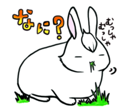Bangs Rabbit 1 sticker #2234024