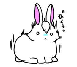 Bangs Rabbit 1 sticker #2234043