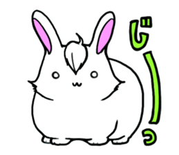 Bangs Rabbit 1 sticker #2234044