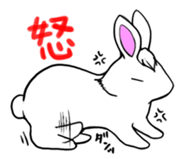 Bangs Rabbit 1 sticker #2234050