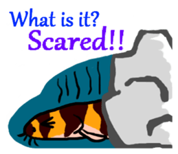 Tropical fish's sticker sticker #2234968