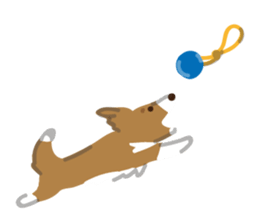 I'm Shetland Sheepdog. sticker #2236469