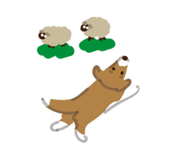 I'm Shetland Sheepdog. sticker #2236476