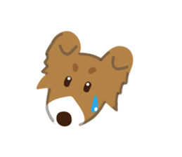 I'm Shetland Sheepdog. sticker #2236491