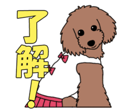 My dear dog - Toy poodle ver sticker #2237465