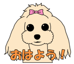 My dear dog - Toy poodle ver sticker #2237466