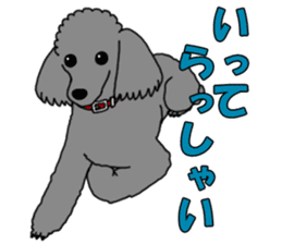 My dear dog - Toy poodle ver sticker #2237469